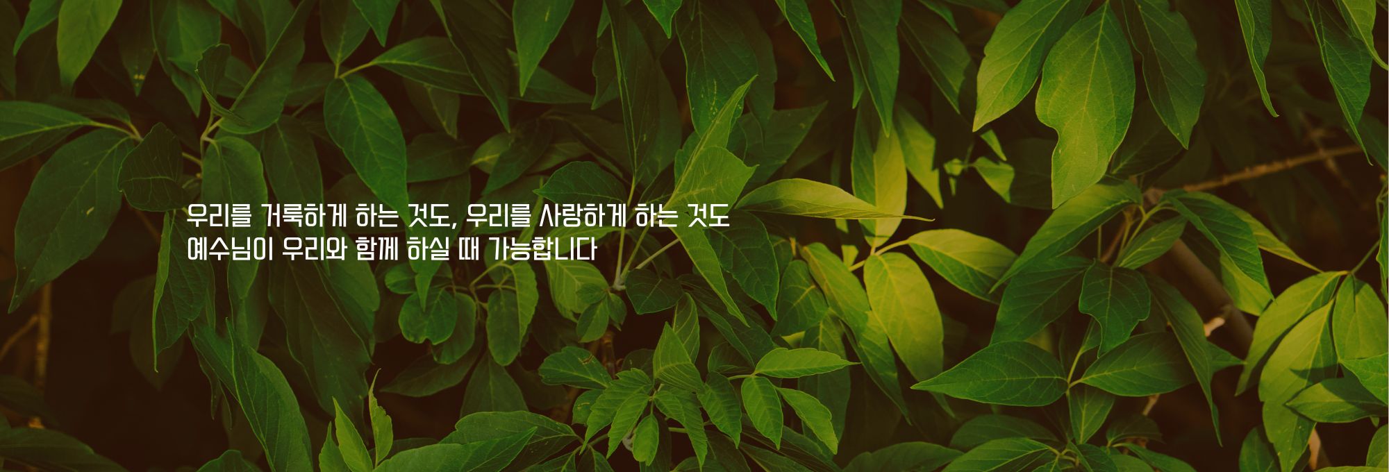 주보상단이미지 (29).jpg