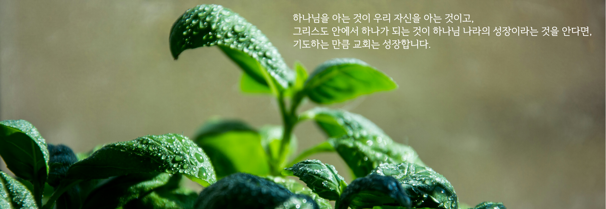 KakaoTalk_20250222_190547328.png