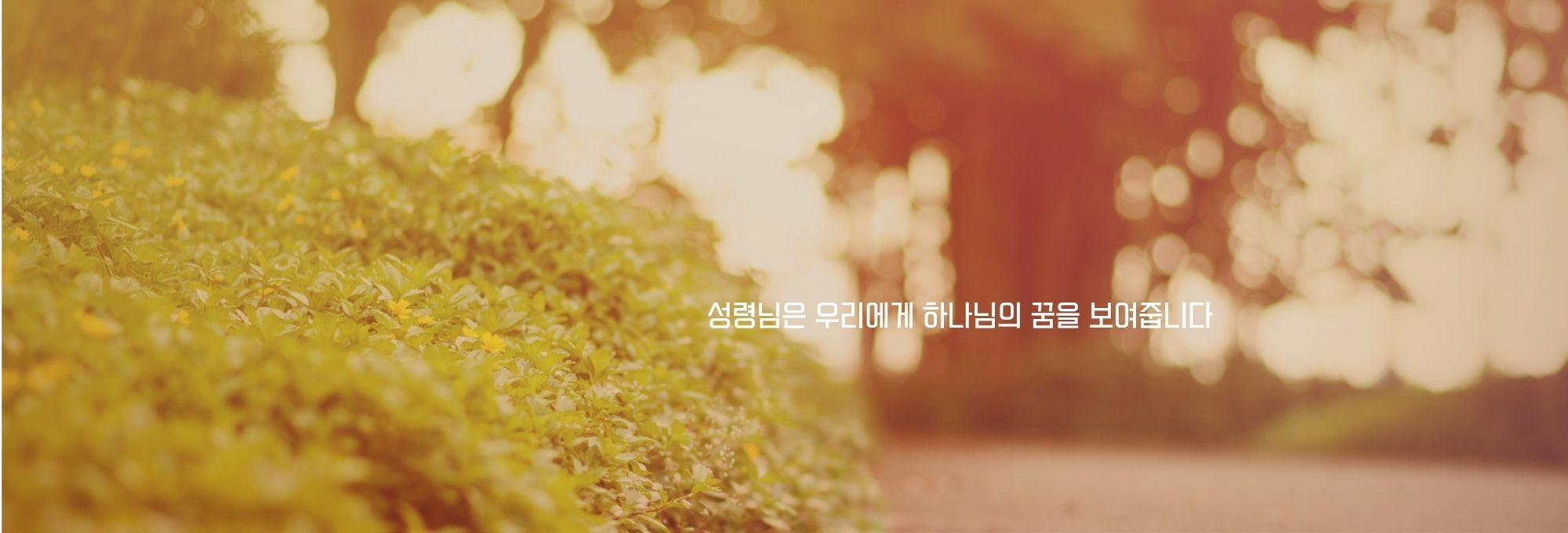 주보상단이미지 (32).jpg