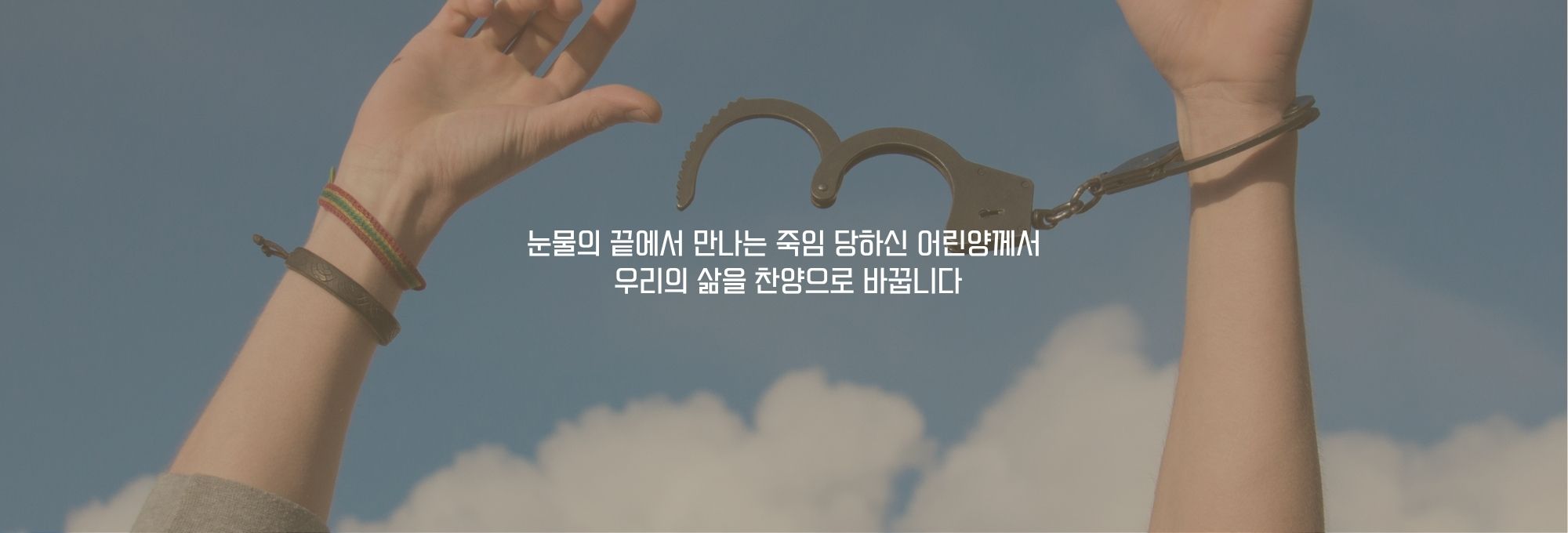 주보상단이미지 (36).jpg
