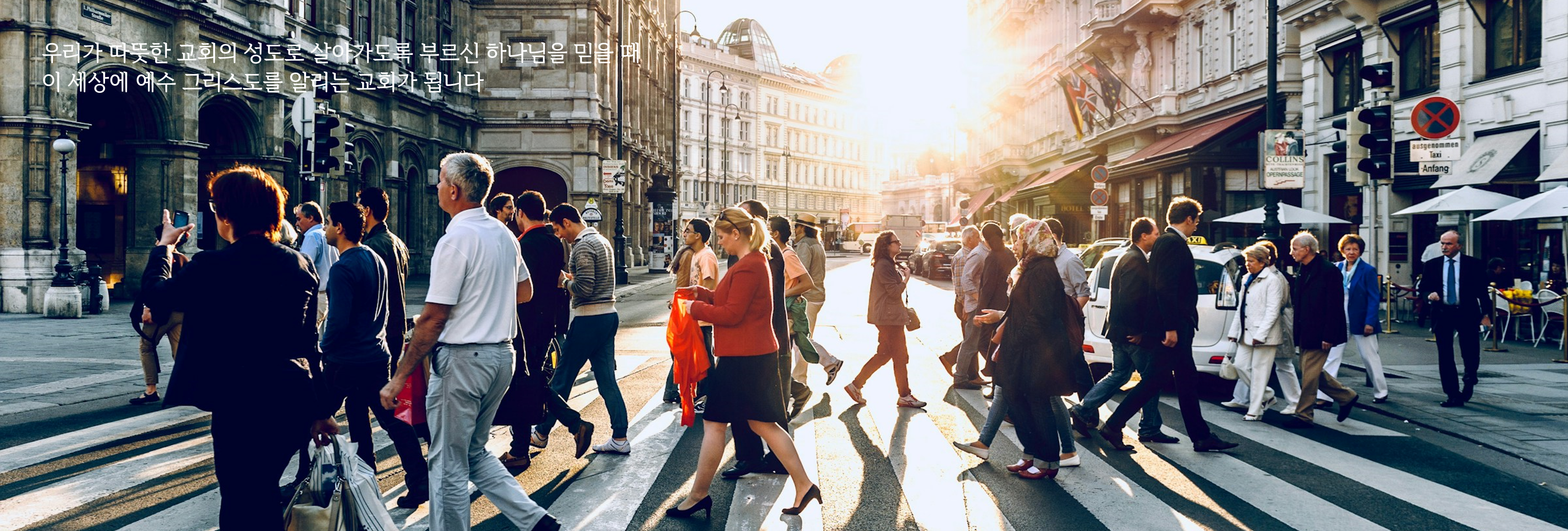 jacek-dylag-PMxT0XtQ--A-unsplash (1)-1.png