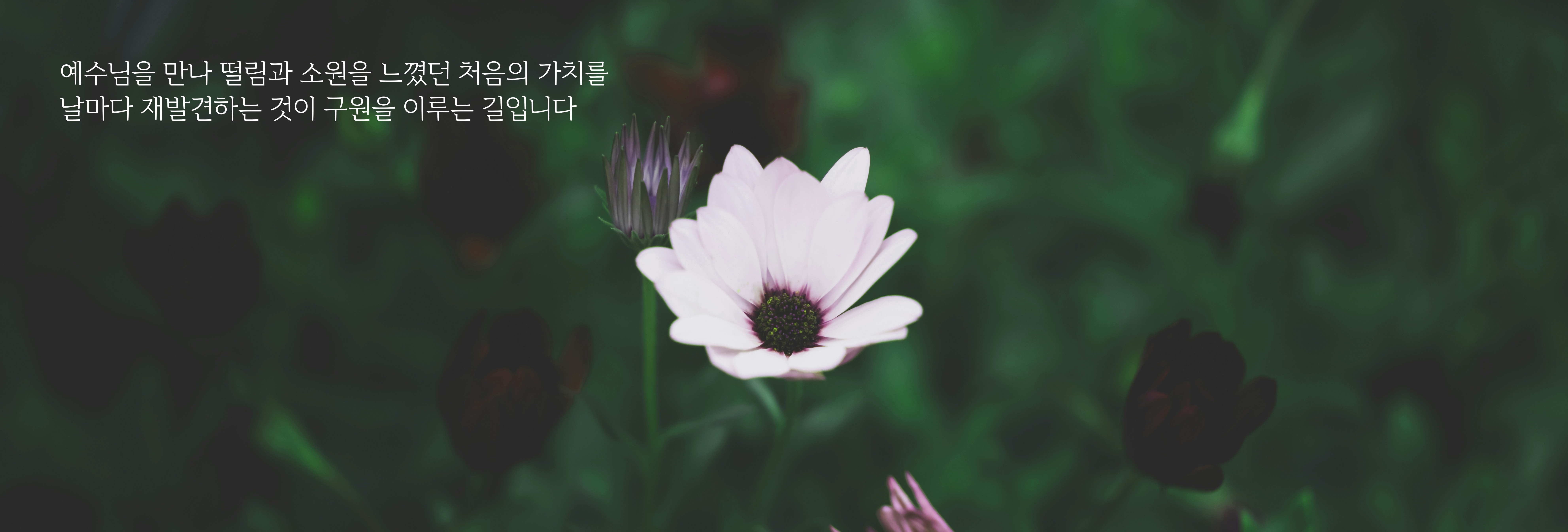redtigerk-jlMNYAqwfMw-unsplash (1)-1.png