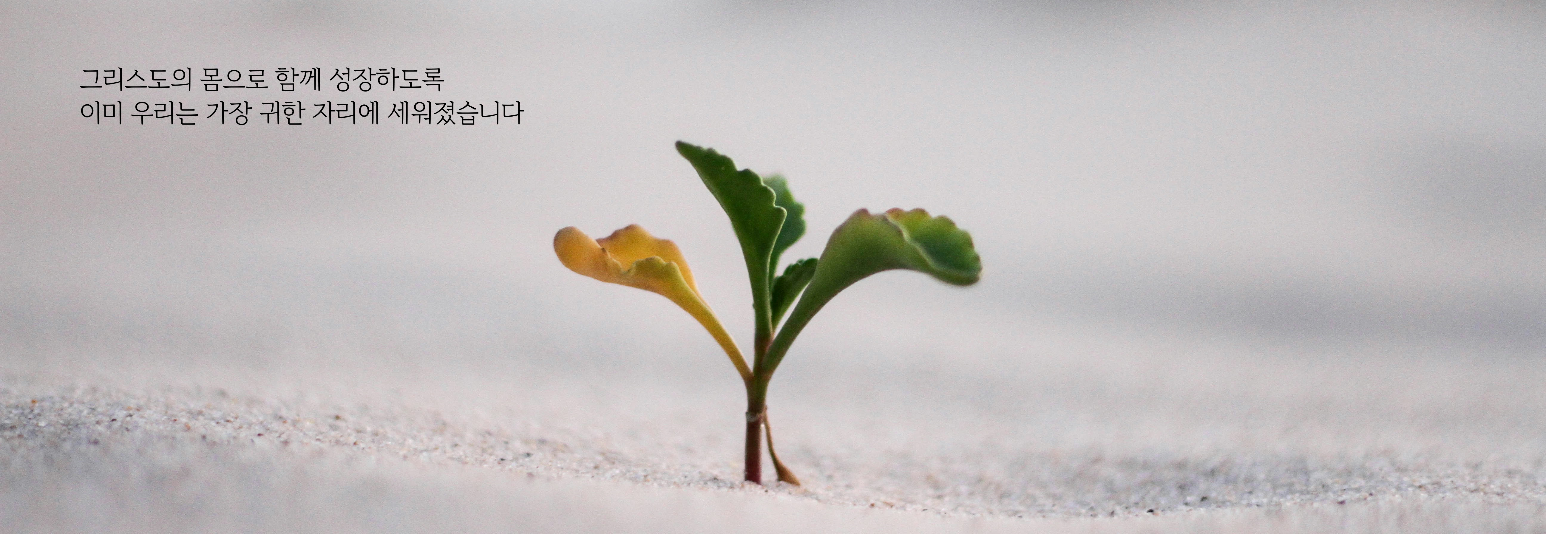 jeremy-bishop-vGjGvtSfys4-unsplash-1.png