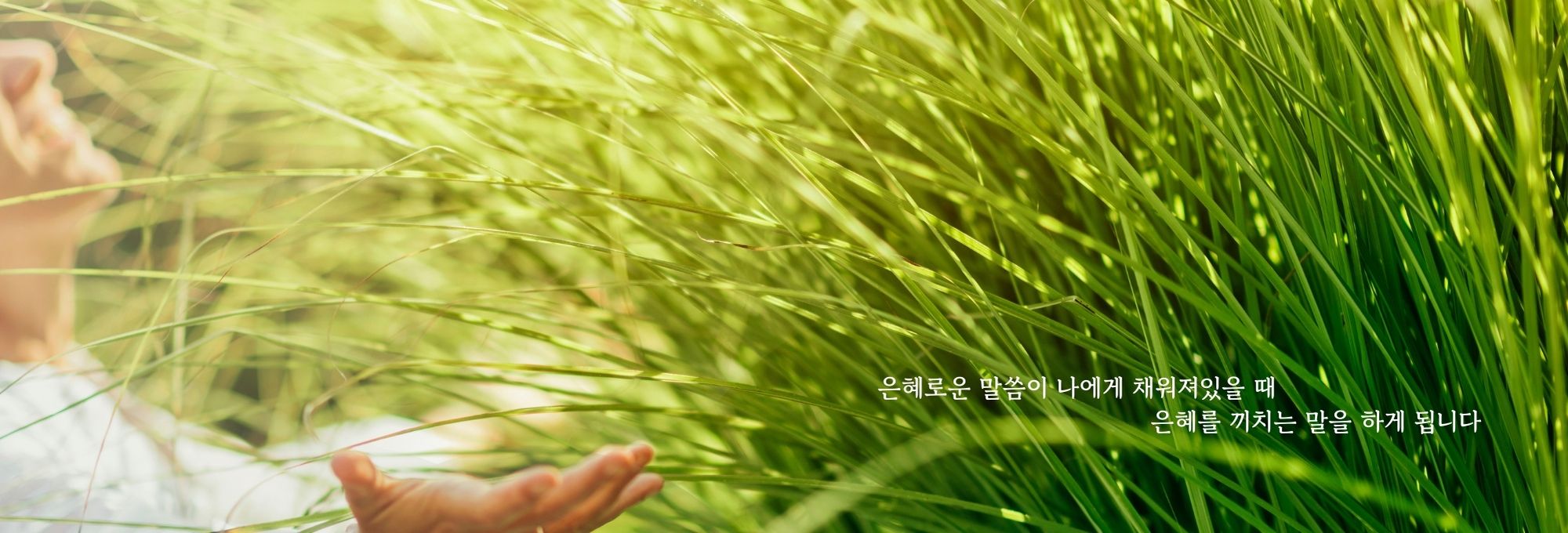 교회주보상단이미지.jpg