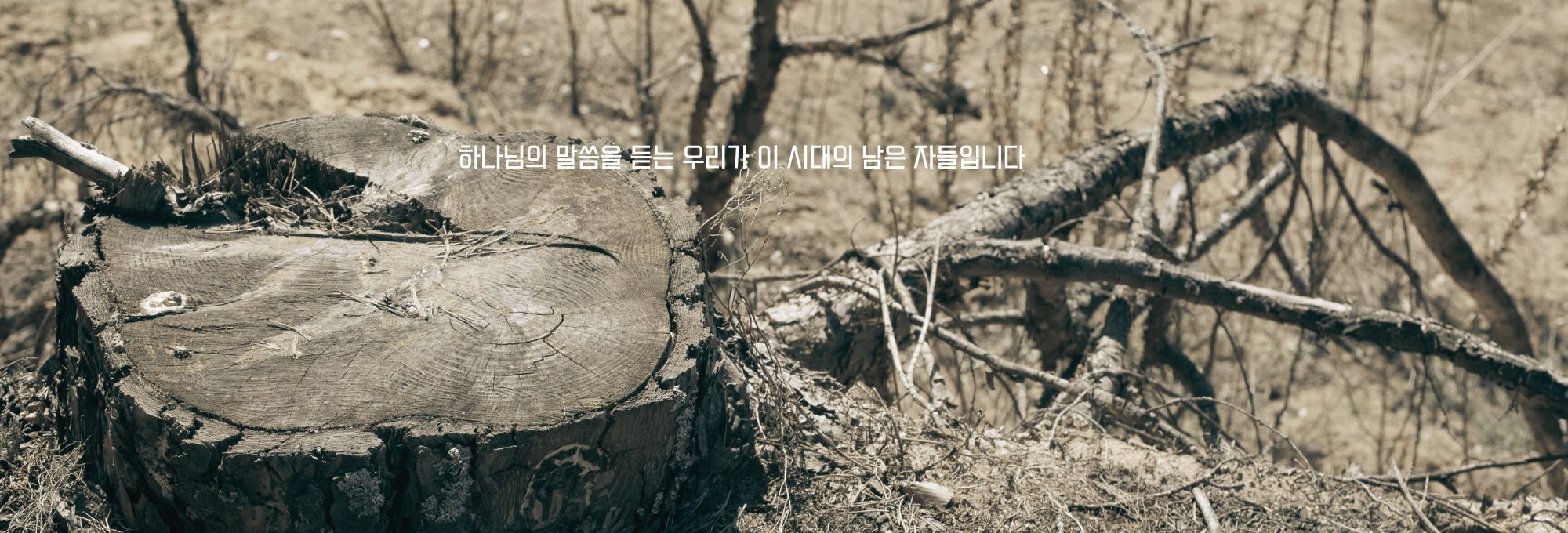 제목 추가.jpg