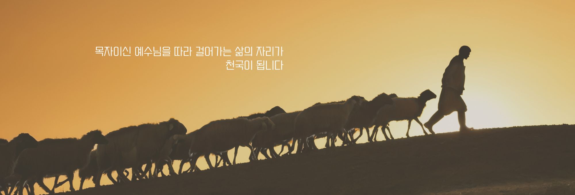 제목 추가 (6).jpg