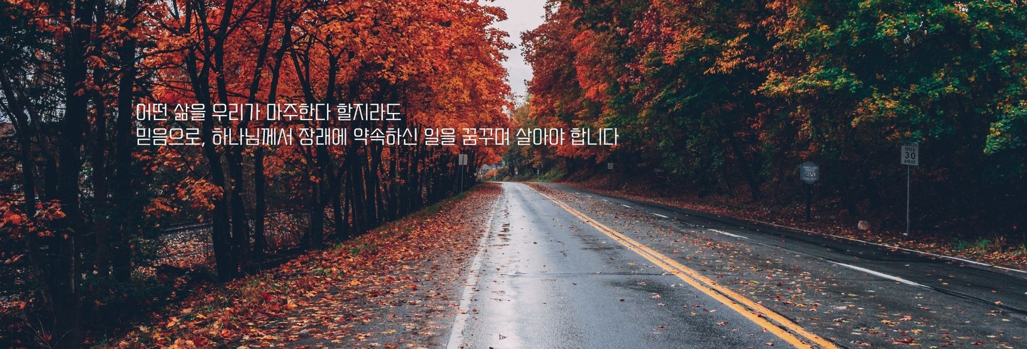 제목 추가 (7).jpg