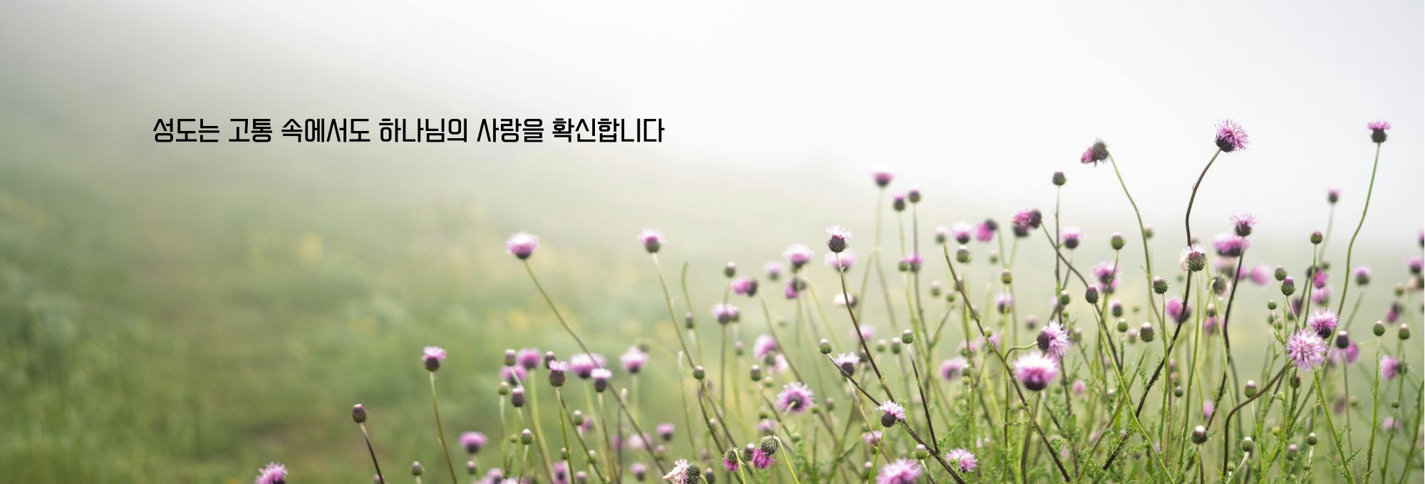 제목 추가 (10).jpg