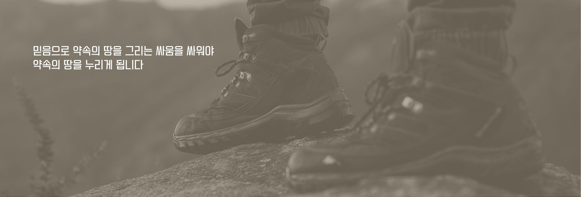 주보상단이미지 (1).jpg