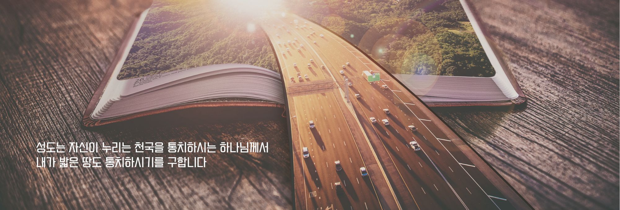 주보상단이미지 (2).jpg