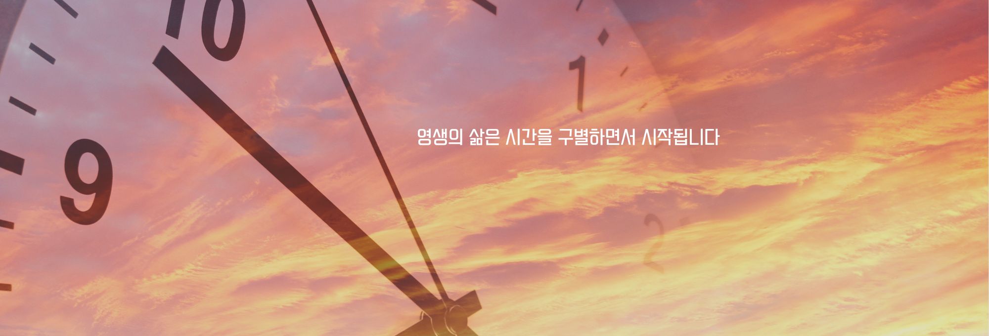 주보상단이미지 (4).jpg