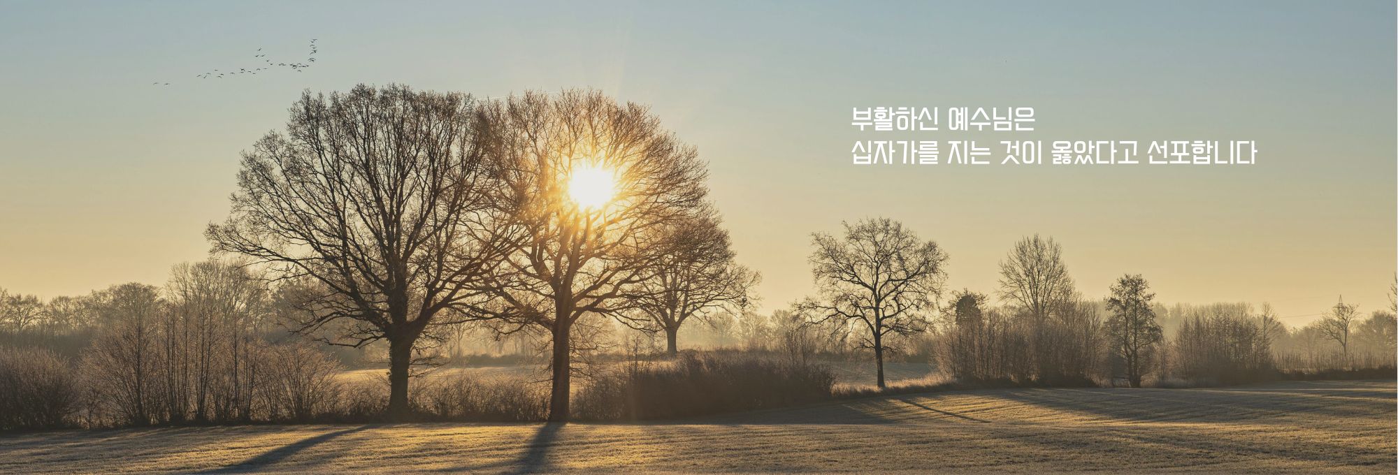 주보상단이미지 (12).jpg