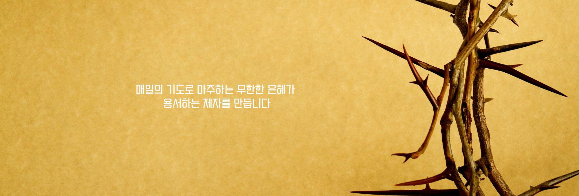 주보상단이미지 (17).jpg