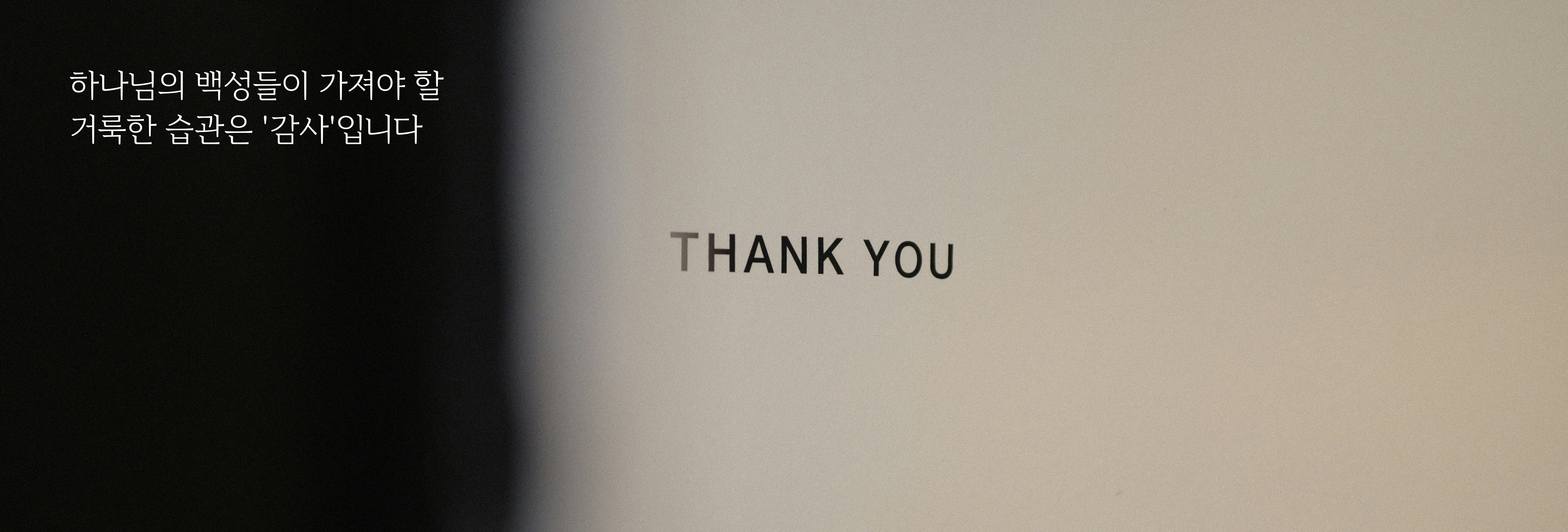madeleine-kohler-VpFEDu_TYWc-unsplash-1.png